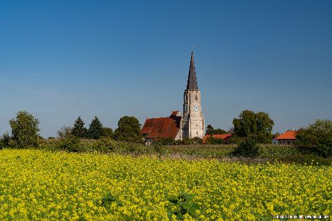 Gemeinde Bad_Füssing Landkreis Passau Aigen am Inn Wallfahrtskirche St. Leonhard (Dirschl Johann) Deutschland PA